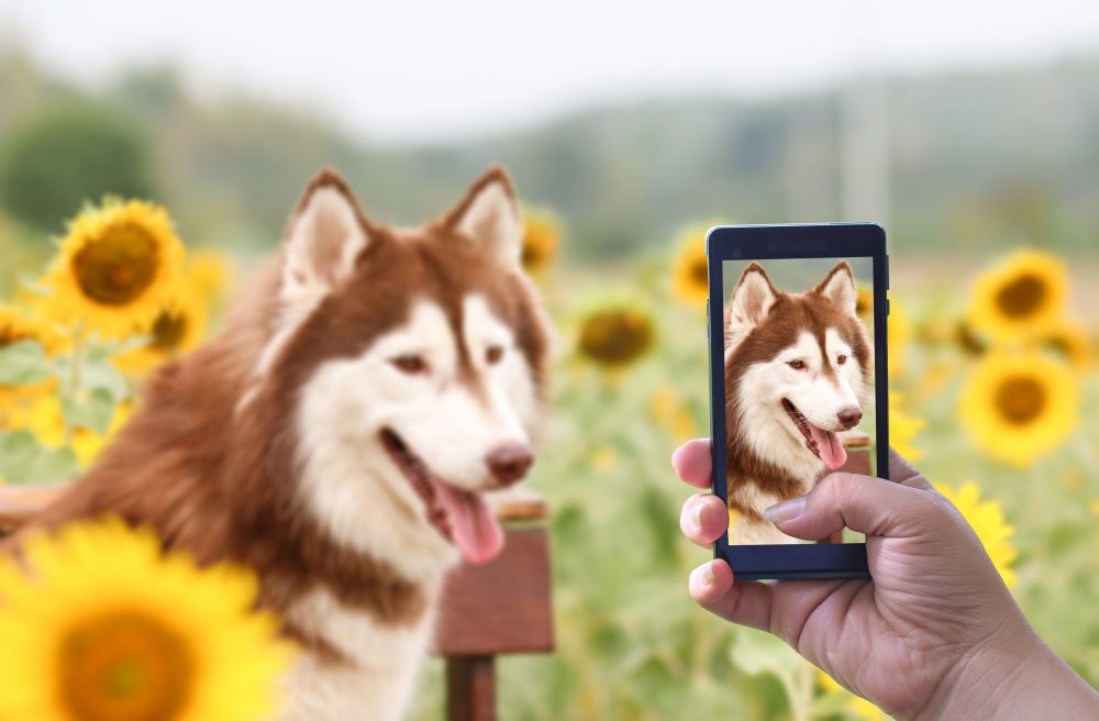 Snapchat Has Released New Filters