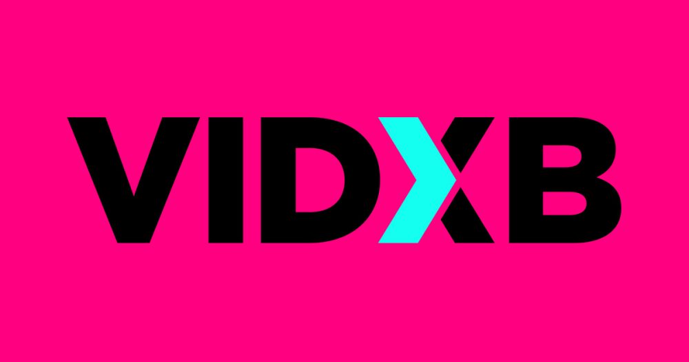 5 things you need to know about VIDXB