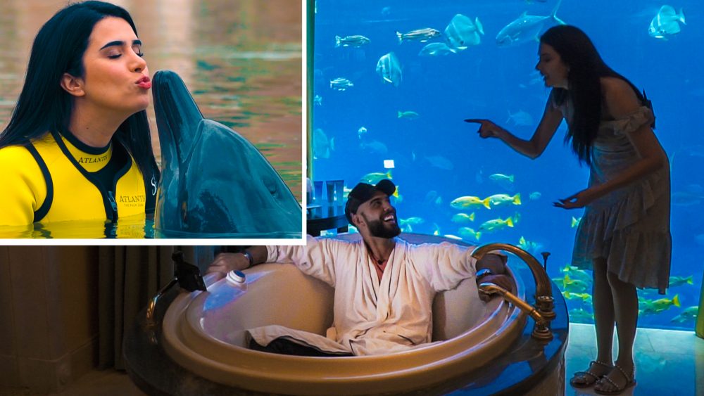 Expensive Tastes: Swimming With Dolphins, Sleeping With Fishes
