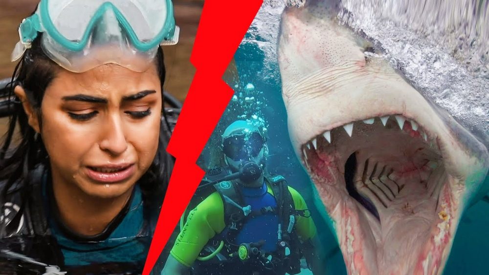 It gets dangerous in the latest episode of Expensive Tastes