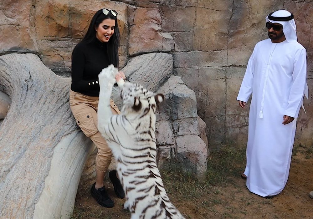 Season 3 of Expensive Tastes Has Officially Kicked Off!