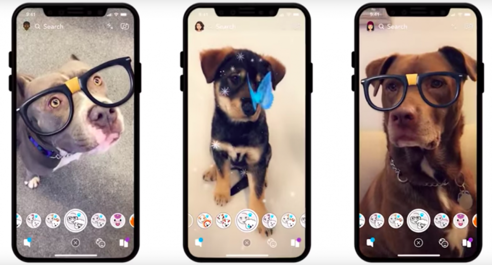 Snapchat Launches Lenses For Your Pet