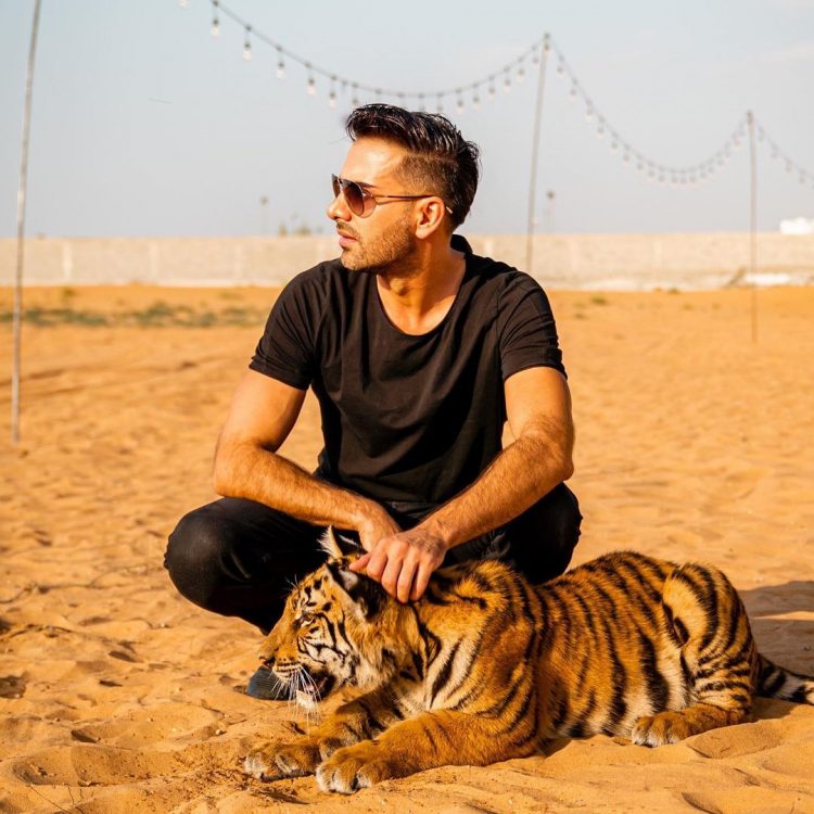 Saygin Yalcin: "Wake up" and examine what we really imply when we say "save the animals"