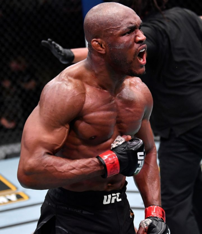 UFC announces TikTok as its new live-stream partner