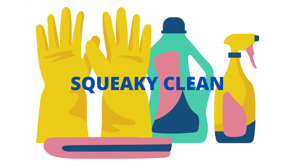 Cleaning influencers