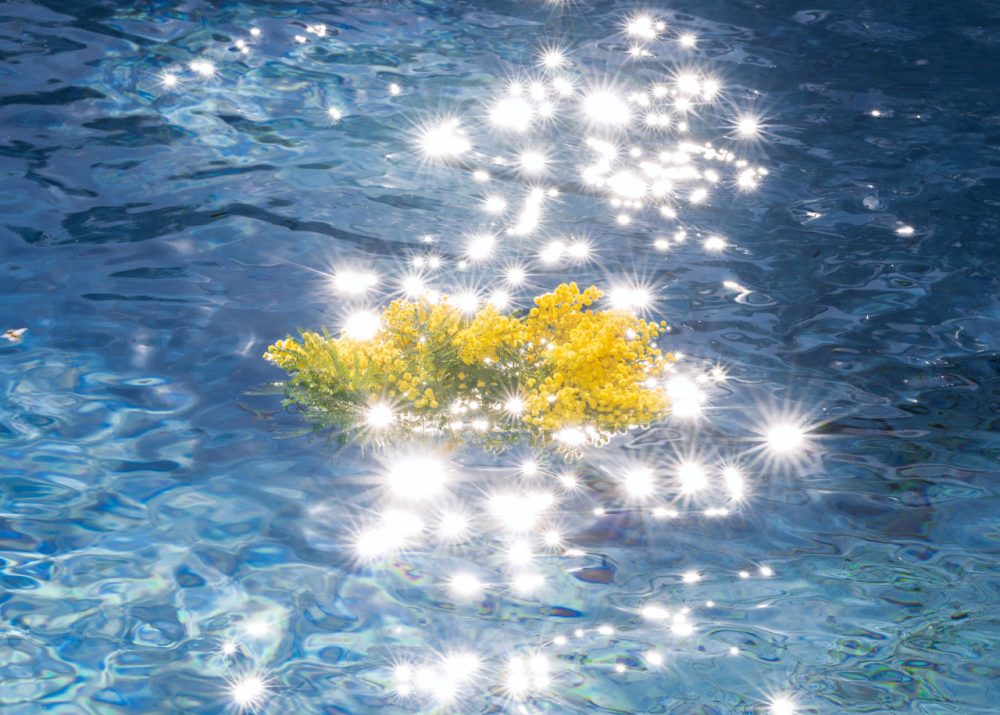 Sustainable Swimwear brands in the UAE