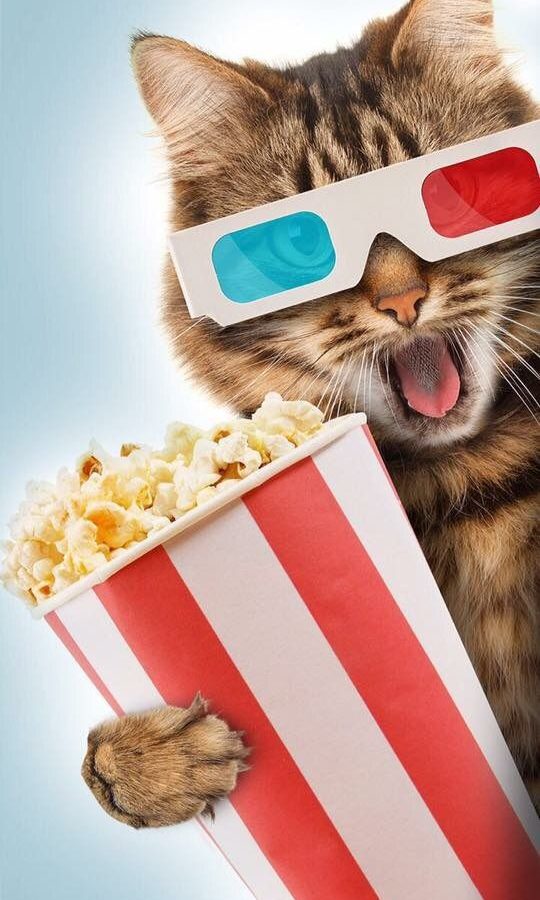 Netflix, what's new in 2023?