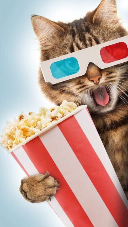 Netflix, what's new in 2023?