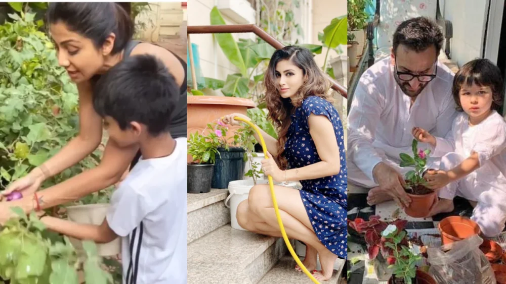 Celebrities gardening