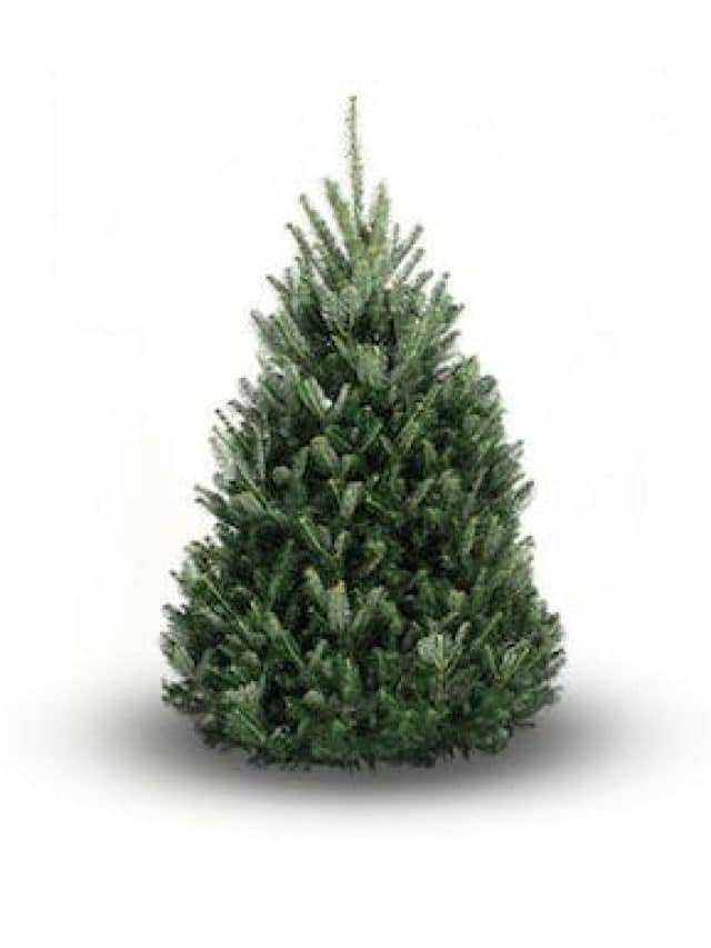 https___d738e7dcb1d246bf0123644b1514c657.cdn.bubble.io_f1697684666203x128318080126958110_frazerSmaller