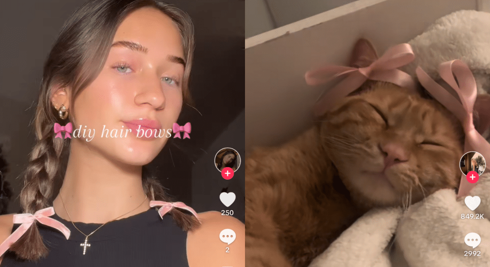 Have we had enough of the 2023 bow trend on TikTok?